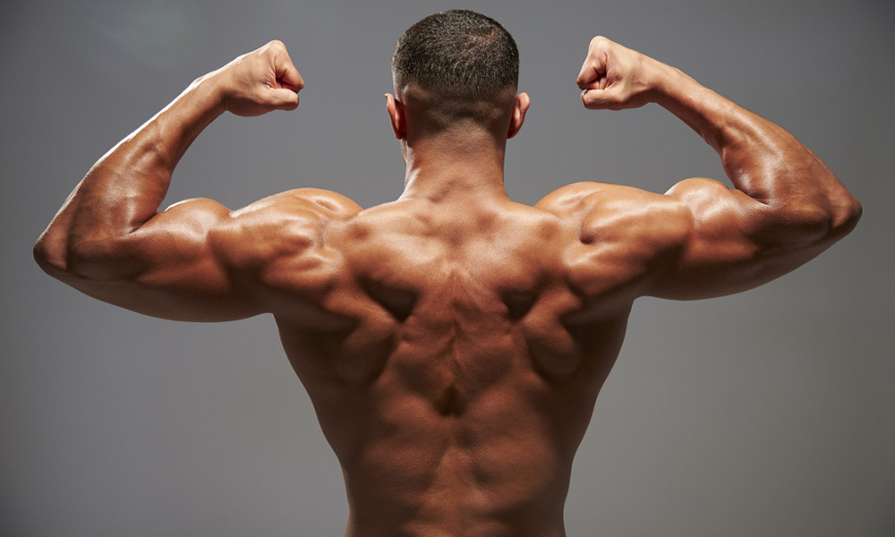 Latihan Strength Training: Membangun Otot di Gym